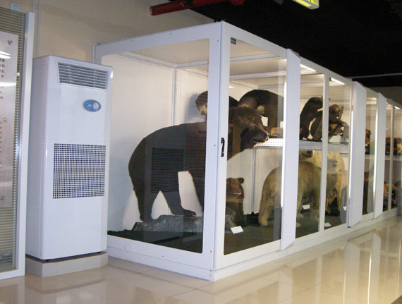 熊標(biāo)本展覽柜邊放置的除濕機